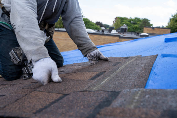 Best Residential Roofing Contractor  in Marion, IA