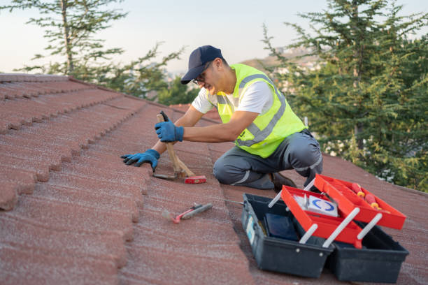 Best Sealant for Roof  in Marion, IA